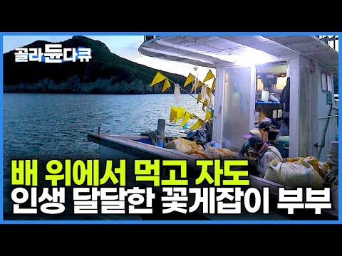 평일 내내 바다 멀리 통통배 집 삼아 꽃게 잡아다 주말에는 시장에서 꽃게 잡아 달달하게 돈 버는 꽃게 잡이 부부┃서해 만선 꽃게잡이 어부┃꽃게 라면 선상 먹방┃한국기행┃#골라듄다큐