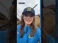STORM DAMAGE | West Michigan storms tear through dairy farm