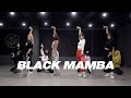 에스파 aespa - Black Mamba | 커버댄스 Dance Cover | 거울모드 Mirror mode | 연습실 Practice ver.
