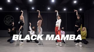 에스파 aespa - Black Mamba | 커버댄스 Dance Cover | 거울모드 Mirror mode | 연습실 Practice ver. Resimi