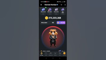 Daily cipher code 19 august //  #hamsterkombat gaily cipher code