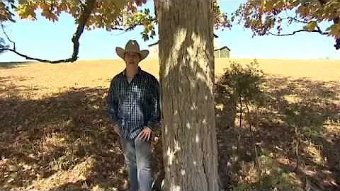 Robert Mizzell - Louisiana Saturday Night