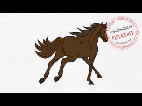 Как быстро нарисовать бегущую лошадь  Рисуем лошадь поэтапно