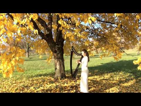 Yiruma - "River flows in you" Ekaterina Afanasieva Harfe/Harp