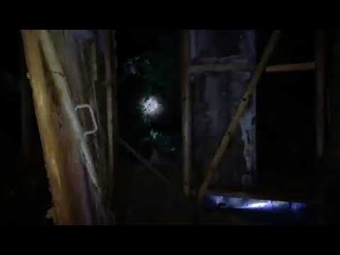 გორში სამი სახლიდან მაშველებმა მოსახლეობა გამოიყვანეს