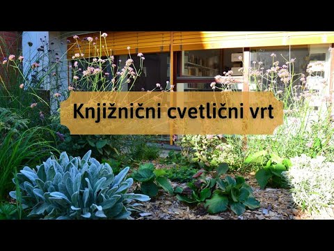 Video: Cvetlični Vrt - Dela Avgusta