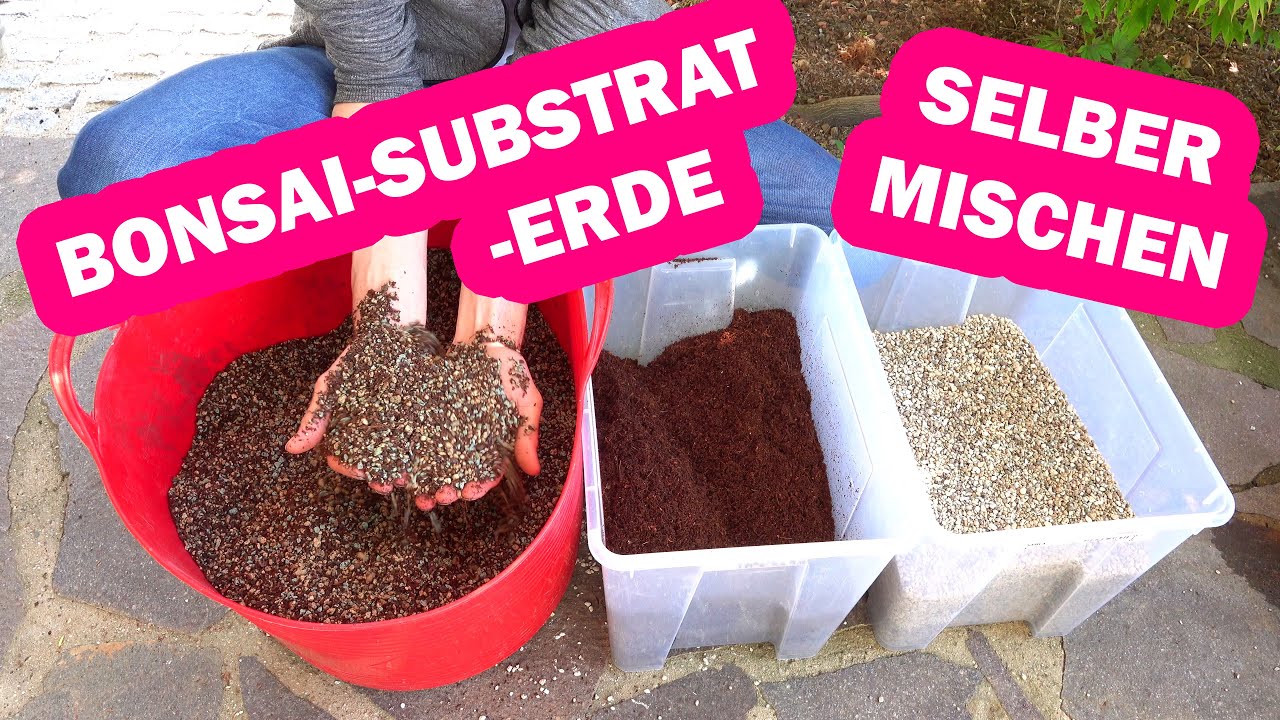 Bonsai & Pflanzen Substrate selber mischen
