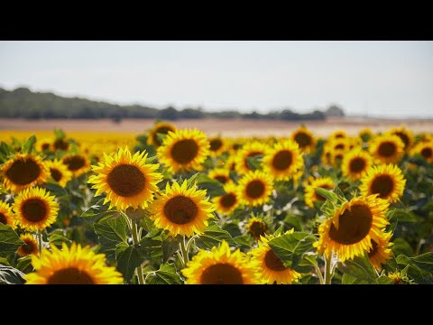 Culto Vespertino 24 de enero 2026 - "En tu nombre"
