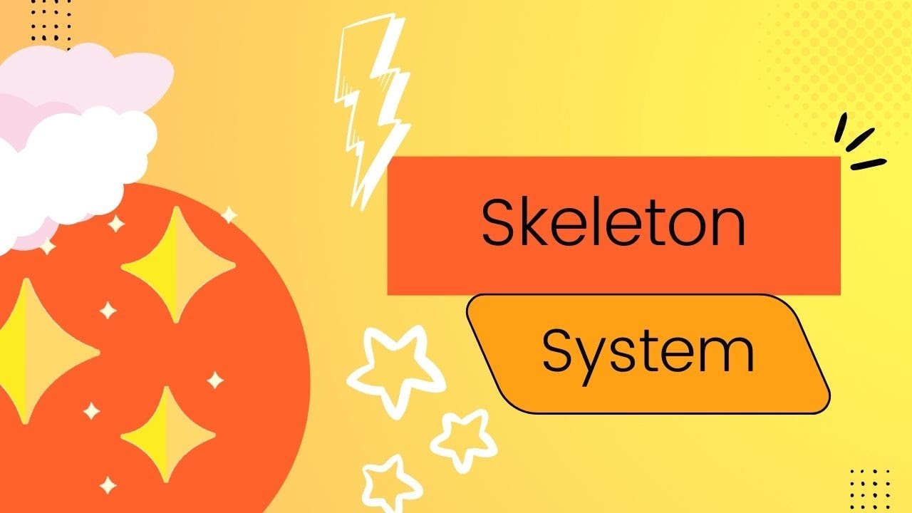 "The Human Skeletal System: Structure and Function" - YouTube