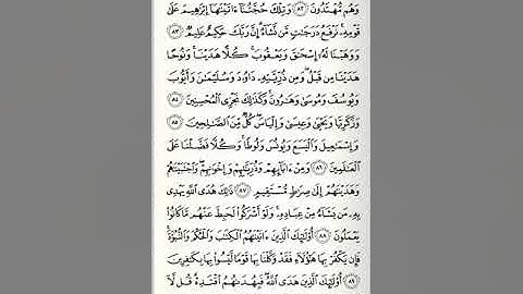 سورة الأنعام - الصفحة الحادية عشرة