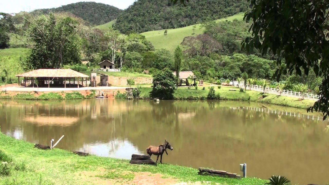 Fazenda Paciência (Santana dos Montes) - YouTube