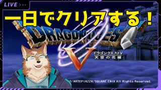 お正月特別企画！DQ５一日でクリアする！！！その２