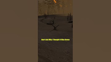 What #short #weird #foryou  #weird #intotheradiusvr #intotheradius  #virtualreality #stalker