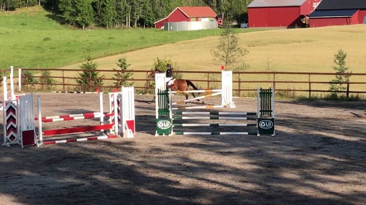 Kso/Sunshine Holm 27/8-17 2. plass