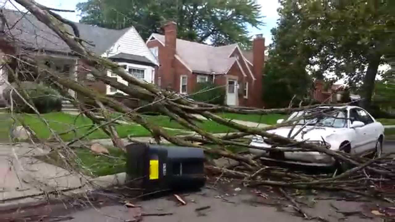 camera iphone 8 plus apk Tree on car Detroit from storm September 6, 2014