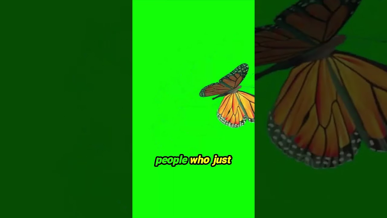 Most entrepreneurs hit this invisible wall #Identity #Mindset #Success