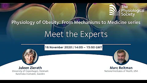 Webinar: Physiology of Obesity: Meet the Experts - DayDayNews