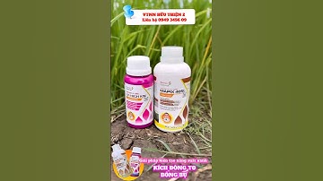 Mapix 40sl và lk high kin kích đòng to bông bự