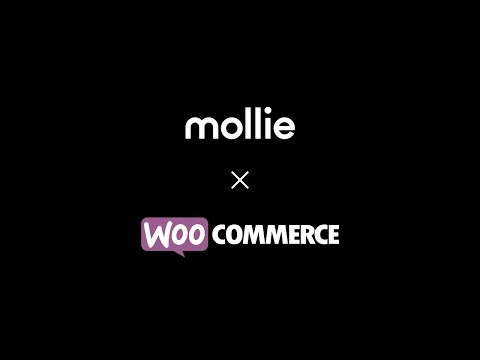 Start mit Mollie in WooCommerce