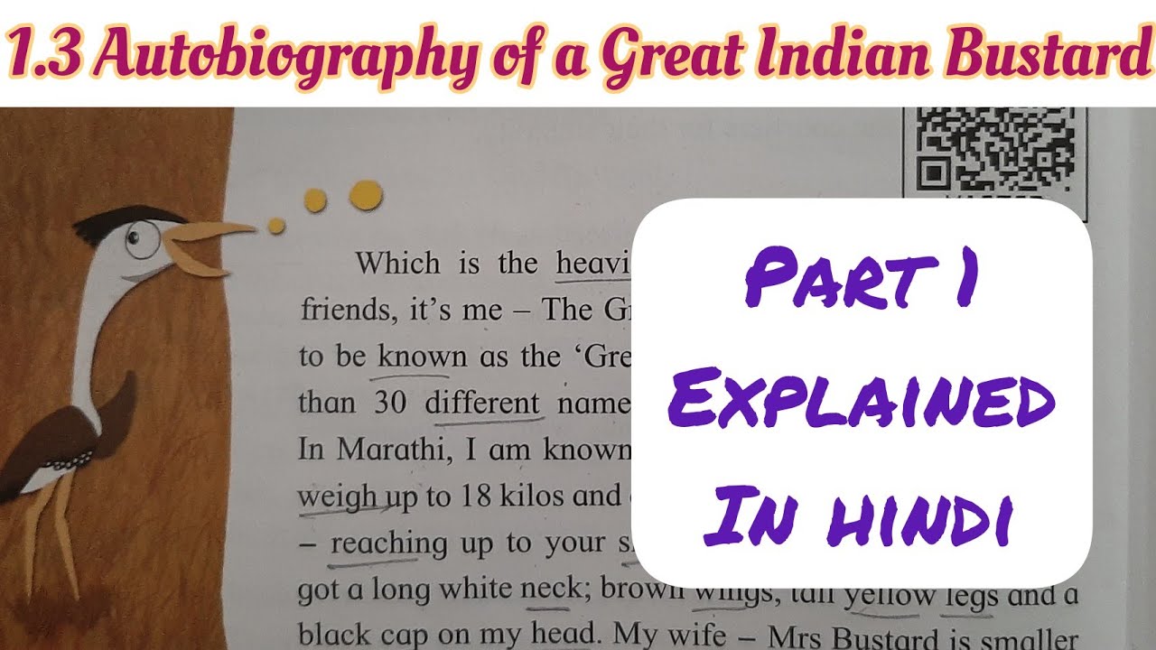 indian bustard essay in hindi