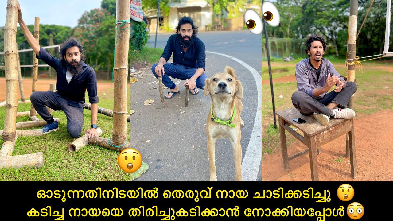 ഓടുന്നതിനിടയിൽ തെരുവ് നായ ചാടിക്കടിച്ചു 😲 കടിച്ച നായയെ തിരിച്ചുകടിക്കാൻ നോക്കിയപ്പോൾ