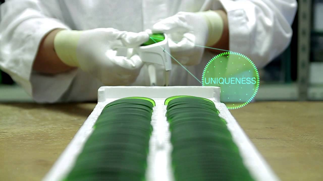 Univet Protección Visual -  Puerto Viejo S.A.