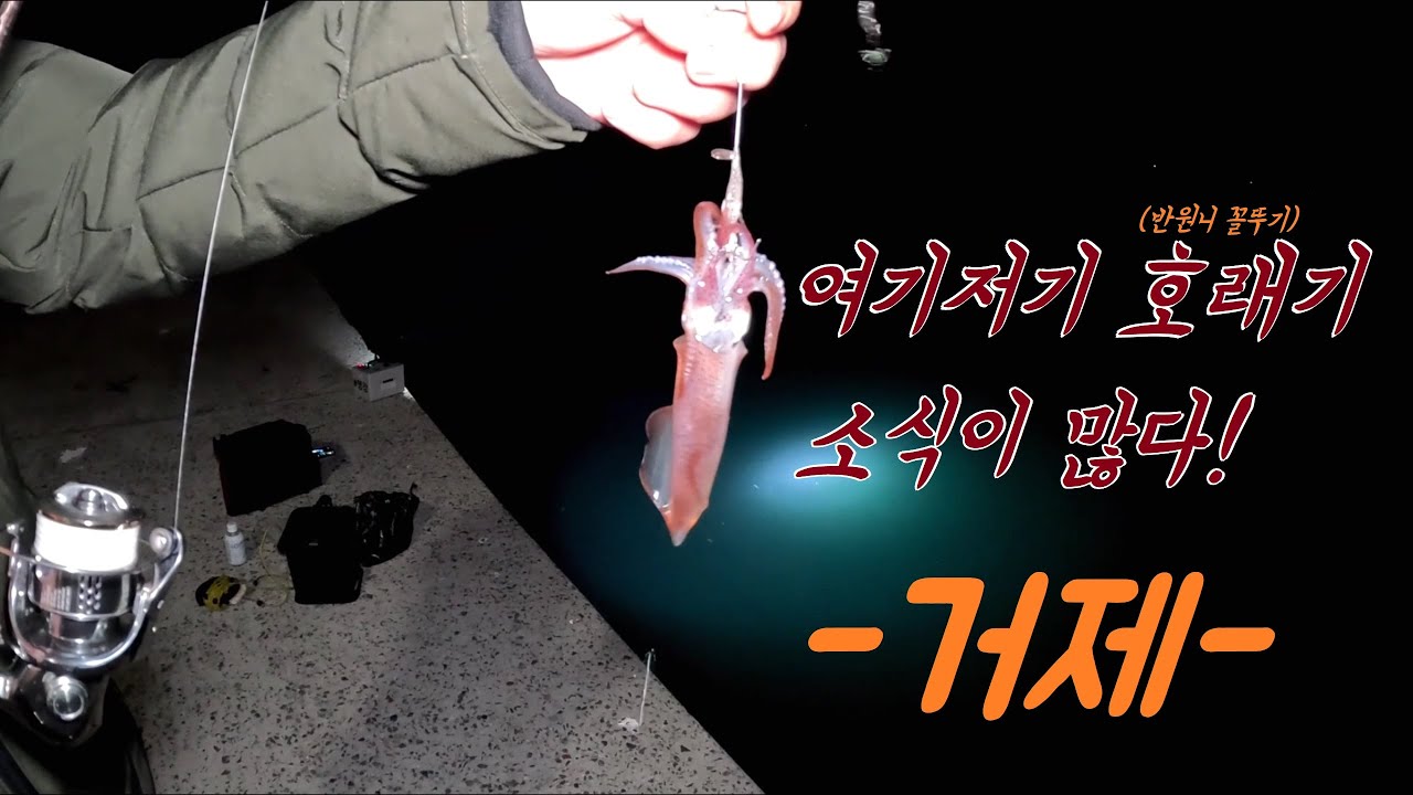 겨울바다가 많이 내어주고있네요! 호래기낚시 호조황체크차 거제도까지 다녀와봤습니다!