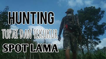 BERBURU TUPAI DAN TEKUKUR DI SPOT LAMA | PEST CONTROL