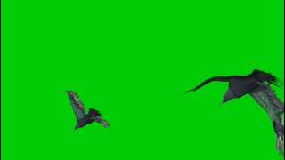 Video Green Screen Animasi Burung Elang Terbang
