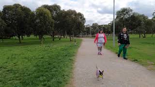 Melbourne Suburb Brunswick Gilpin Park 2021