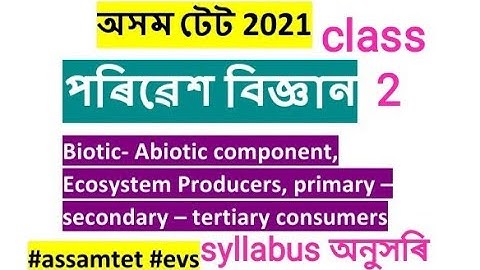 ASSAM TET EVS ॥ Biotic Abiotic component- producers , primary secondary tertiary consumers