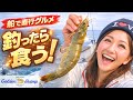 女船長の激走船で行く絶品グルメ!東京湾を横断して 活エビ釣りに激アツチャレンジ!!! #ゴールデンシュリンプ #女船長 #村岡昌憲 #blueblue