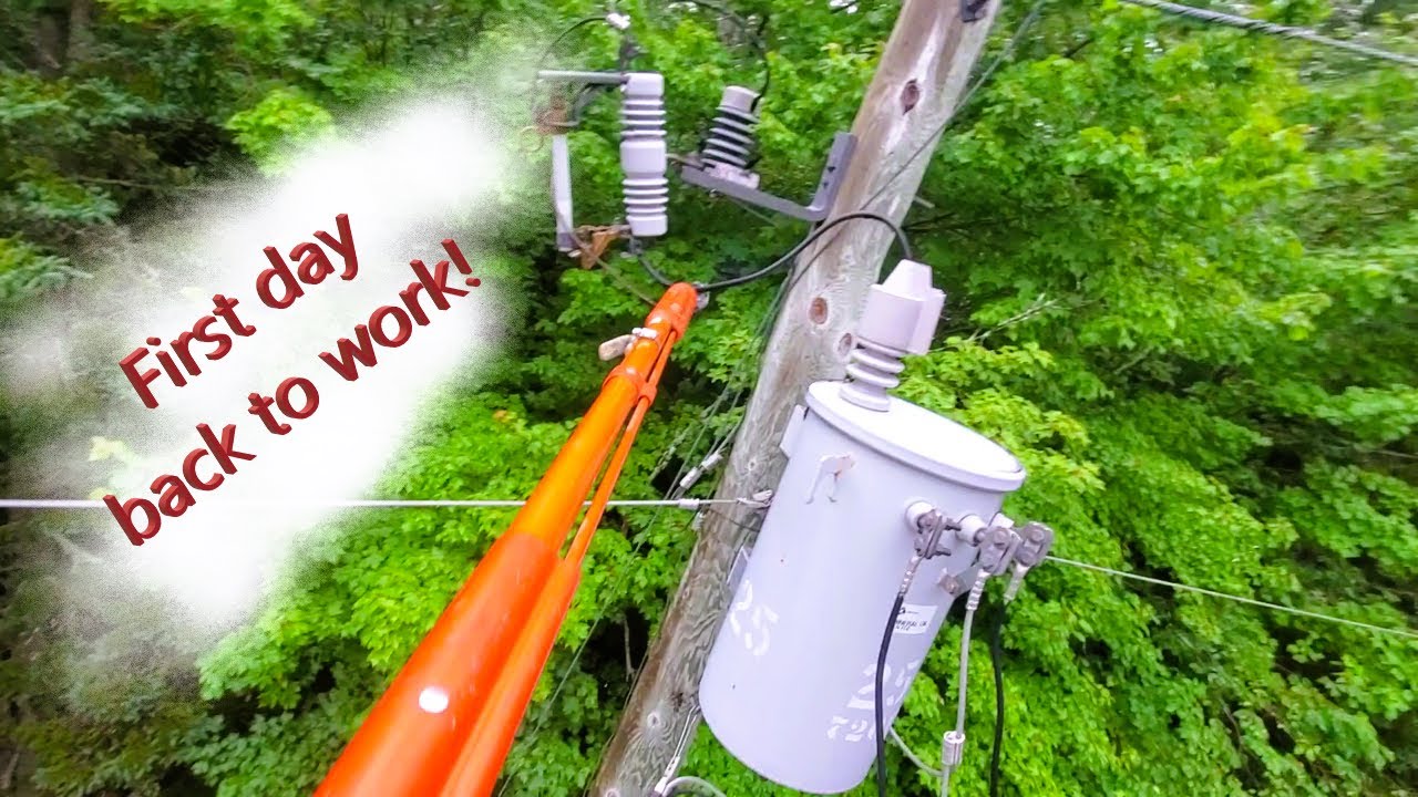 Cutouts, Cracks and Chainsaws!