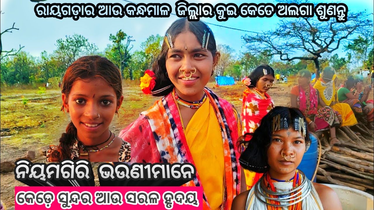 ନିୟମଗିରି ଡ଼ଙ୍ଗରିଆ କନ୍ଧ ଝିଅ କେତେ ସଂସ୍କାର ଆଉ ସୁନ୍ଦର । Niyamgiri Dangaria Kandha 