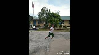 Physical Education (badminton performance)