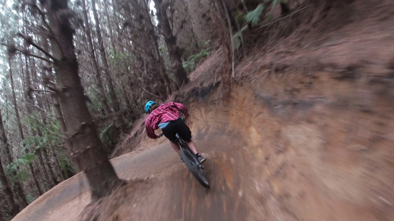 Te Poaka (new flow track) full run / Redwoods mtb park