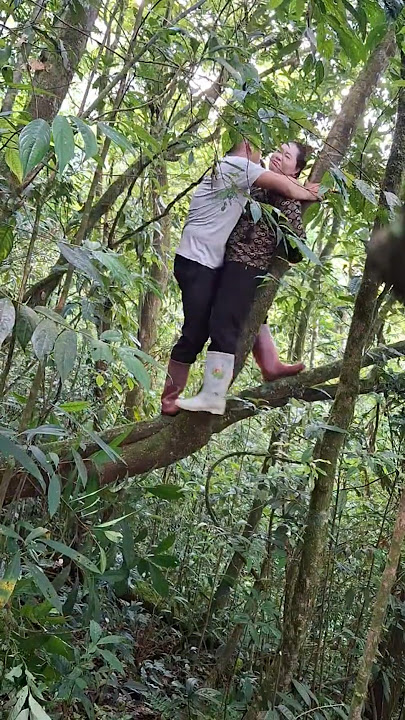 We are picking herbs from trees.p3420250730 085859~2