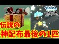 特別な伝説ポケモンがゲットできるチャンス！ヒスイの姿色違いもきたー！【ポケモンレジェンズアルセウス】