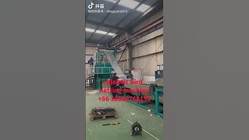 Plastic Stretching Anti-Bird Net Garden Net Yam Net Lawn Net Production Line