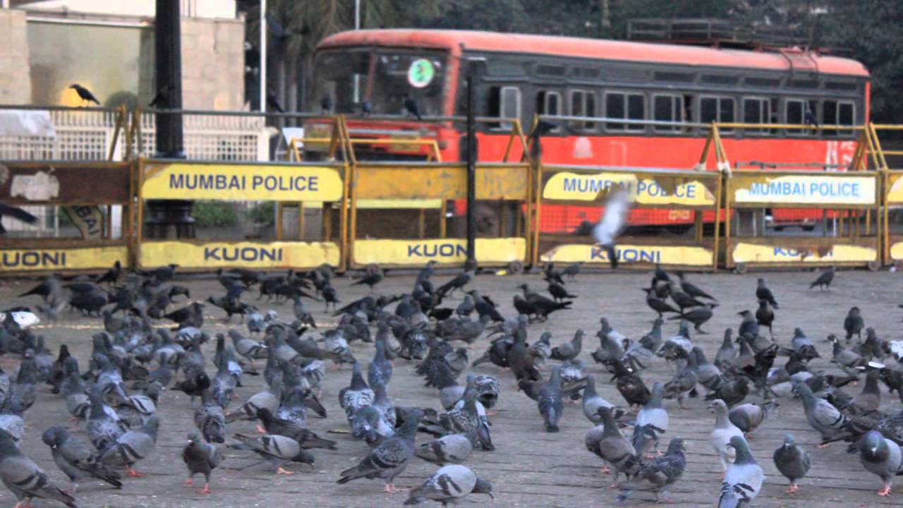 travel rock bariloche Gateway of India