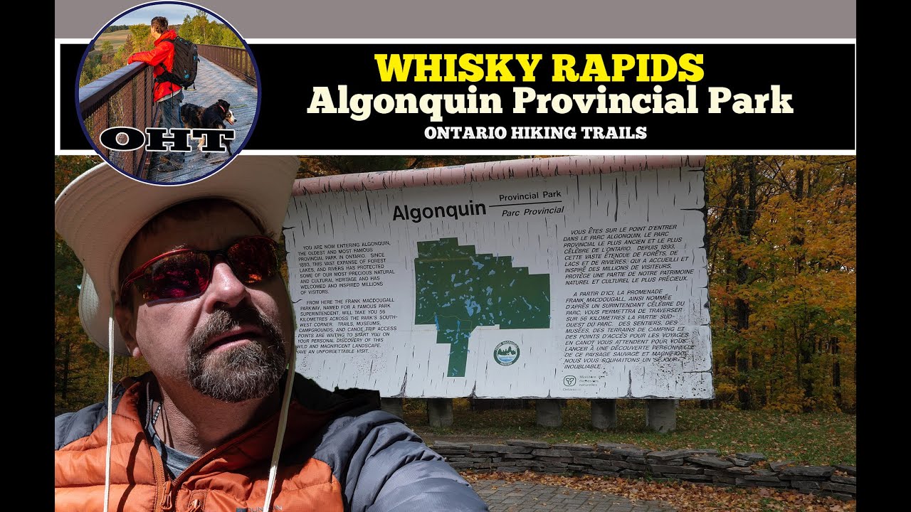 Whisky Rapids Trail Algonquin Provincial Park Ontario Autumn Leaves