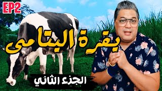 Ep 2 بقرة اليتامى