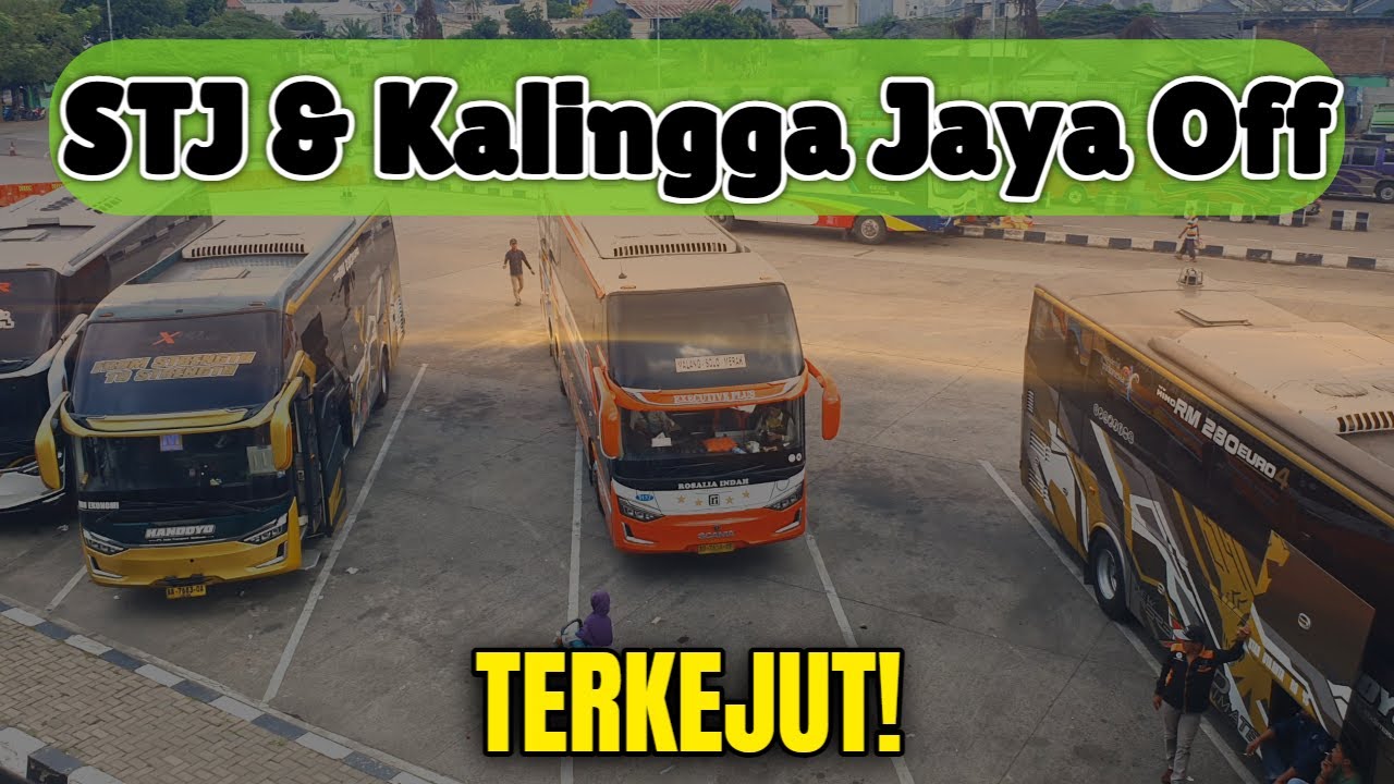 [2 PO Bus Ini Hengkang Dari Tim Merak Raya] - Hunting Bus Terbaru Terminal Pakupatan Serang!
