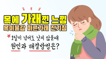 목에 가래낀 느낌 원인과 해결방법 (목이물감, 마른가래, 잔기침)