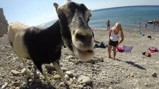 EBS Kos Greece, Summer 2014