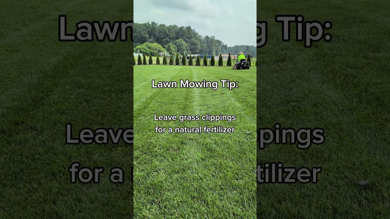 Keep your grass clippings on the lawn! 