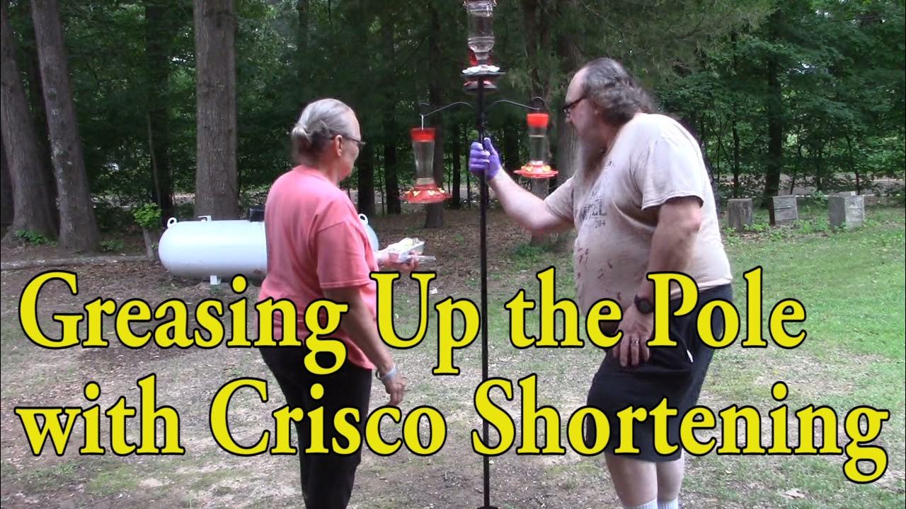 How We Kept Raccoons From Emptying Our Hummingbird Feeders by Putting