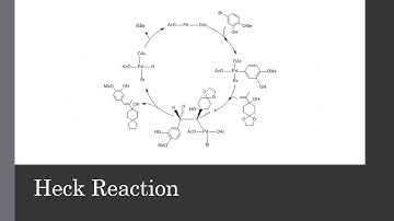 Bifidenone Total Synthesis Presentation