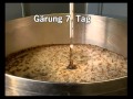 Bierbrauen heute Gaerung Kleinbrauerei doppelt f4v