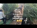 farmers life!